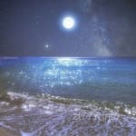 Avatar of Hooria Malik